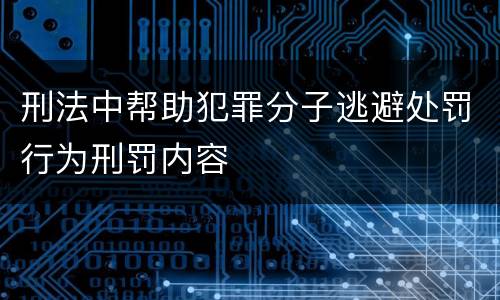 刑法中帮助犯罪分子逃避处罚行为刑罚内容