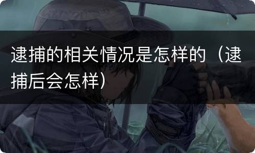 逮捕的相关情况是怎样的（逮捕后会怎样）