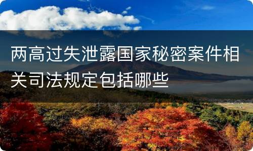 两高过失泄露国家秘密案件相关司法规定包括哪些
