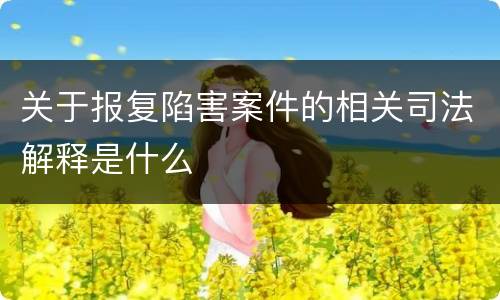 关于报复陷害案件的相关司法解释是什么