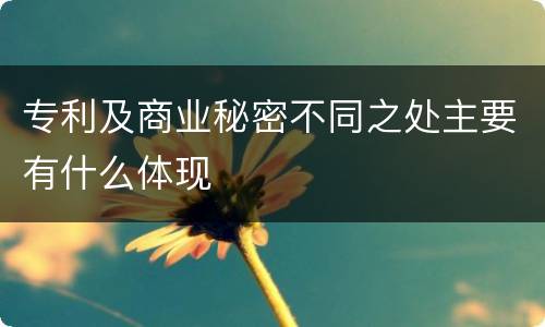 专利及商业秘密不同之处主要有什么体现