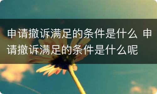 申请撤诉满足的条件是什么 申请撤诉满足的条件是什么呢