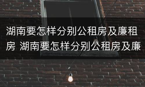 湖南要怎样分别公租房及廉租房 湖南要怎样分别公租房及廉租房呢