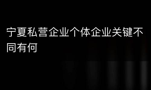 宁夏私营企业个体企业关键不同有何