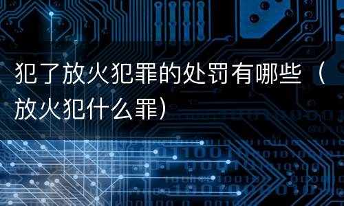 犯了放火犯罪的处罚有哪些（放火犯什么罪）