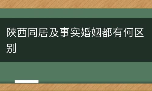 陕西同居及事实婚姻都有何区别