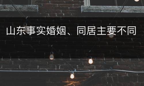 山东事实婚姻、同居主要不同