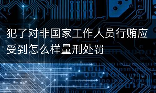 犯了对非国家工作人员行贿应受到怎么样量刑处罚