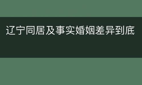 辽宁同居及事实婚姻差异到底