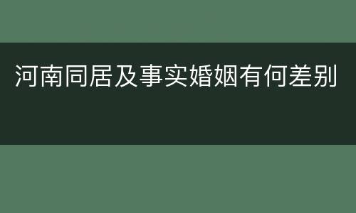 河南同居及事实婚姻有何差别