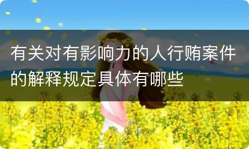 有关对有影响力的人行贿案件的解释规定具体有哪些