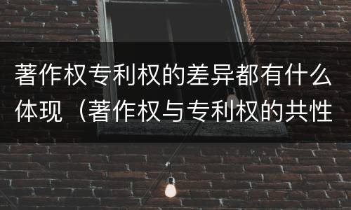 著作权专利权的差异都有什么体现（著作权与专利权的共性有）