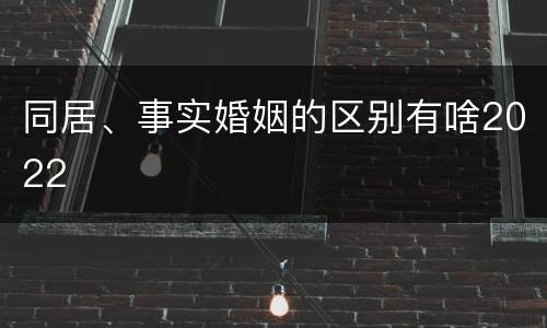 同居、事实婚姻的区别有啥2022