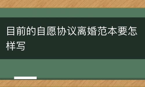 目前的自愿协议离婚范本要怎样写