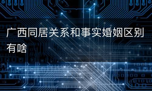 广西同居关系和事实婚姻区别有啥