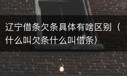 辽宁借条欠条具体有啥区别（什么叫欠条什么叫借条）