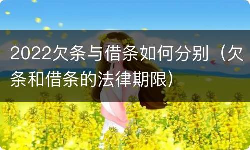 2022欠条与借条如何分别（欠条和借条的法律期限）