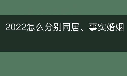 2022怎么分别同居、事实婚姻