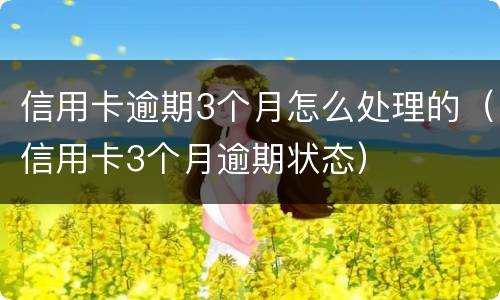 信用卡逾期3个月怎么处理的（信用卡3个月逾期状态）