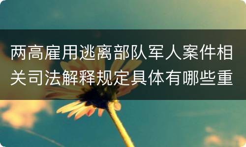 两高雇用逃离部队军人案件相关司法解释规定具体有哪些重要内容