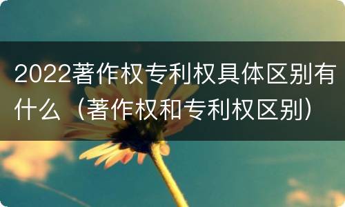 2022著作权专利权具体区别有什么（著作权和专利权区别）