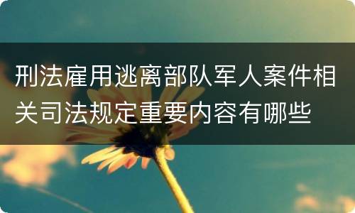 刑法雇用逃离部队军人案件相关司法规定重要内容有哪些