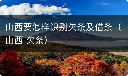 山西要怎样识别欠条及借条（山西 欠条）