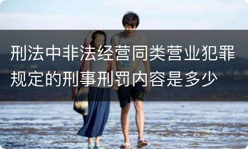 刑法中非法经营同类营业犯罪规定的刑事刑罚内容是多少