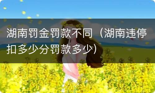 湖南罚金罚款不同（湖南违停扣多少分罚款多少）