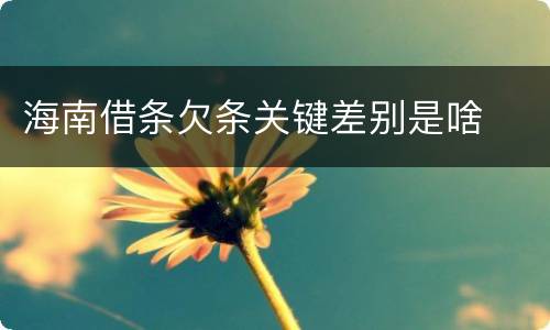 海南借条欠条关键差别是啥