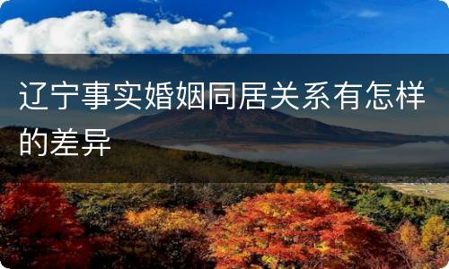 辽宁事实婚姻同居关系有怎样的差异