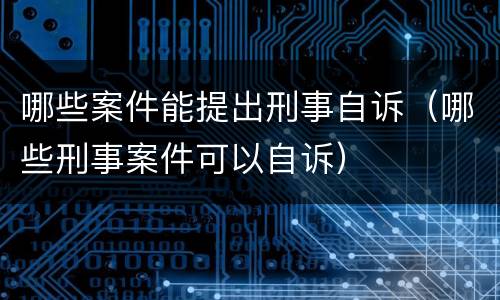 哪些案件能提出刑事自诉（哪些刑事案件可以自诉）