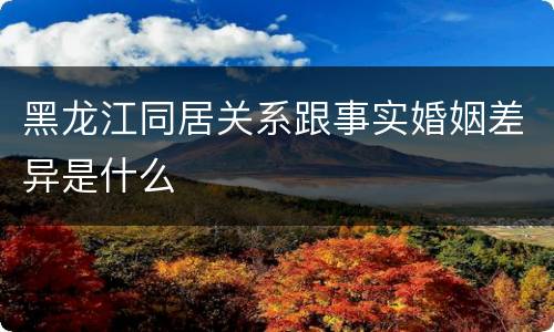 黑龙江同居关系跟事实婚姻差异是什么