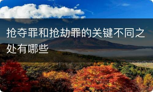 抢夺罪和抢劫罪的关键不同之处有哪些