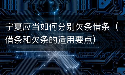 宁夏应当如何分别欠条借条（借条和欠条的适用要点）