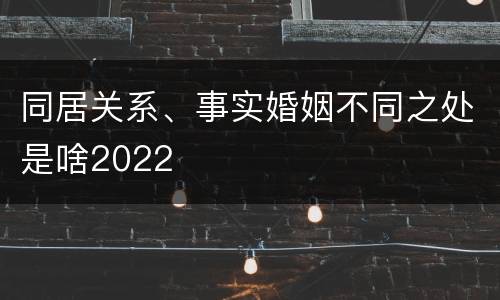 同居关系、事实婚姻不同之处是啥2022