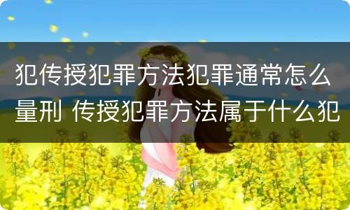 犯传授犯罪方法犯罪通常怎么量刑 传授犯罪方法属于什么犯