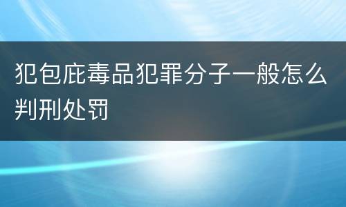 犯包庇毒品犯罪分子一般怎么判刑处罚
