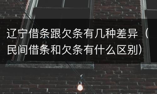 辽宁借条跟欠条有几种差异（民间借条和欠条有什么区别）