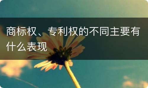 商标权、专利权的不同主要有什么表现