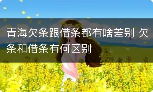 青海欠条跟借条都有啥差别 欠条和借条有何区别