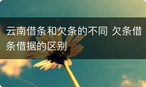 云南借条和欠条的不同 欠条借条借据的区别