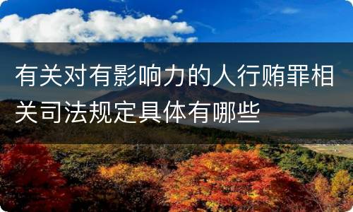 有关对有影响力的人行贿罪相关司法规定具体有哪些