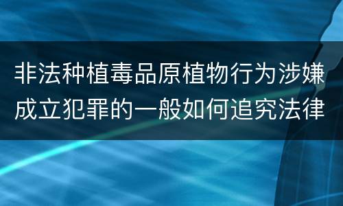 非法种植毒品原植物行为涉嫌成立犯罪的一般如何追究法律责任