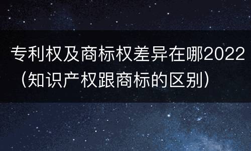 专利权及商标权差异在哪2022（知识产权跟商标的区别）