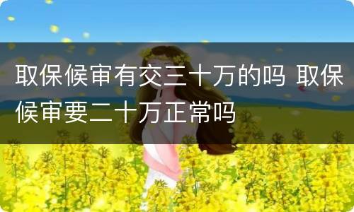 取保候审有交三十万的吗 取保候审要二十万正常吗