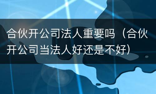 合伙开公司法人重要吗（合伙开公司当法人好还是不好）