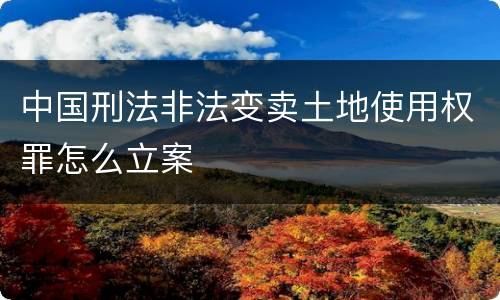 中国刑法非法变卖土地使用权罪怎么立案