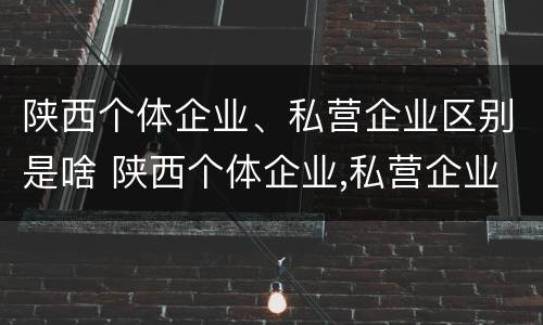 陕西个体企业、私营企业区别是啥 陕西个体企业,私营企业区别是啥呀
