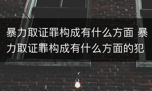 暴力取证罪构成有什么方面 暴力取证罪构成有什么方面的犯罪